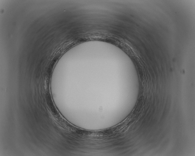 X0000084540546200703091656