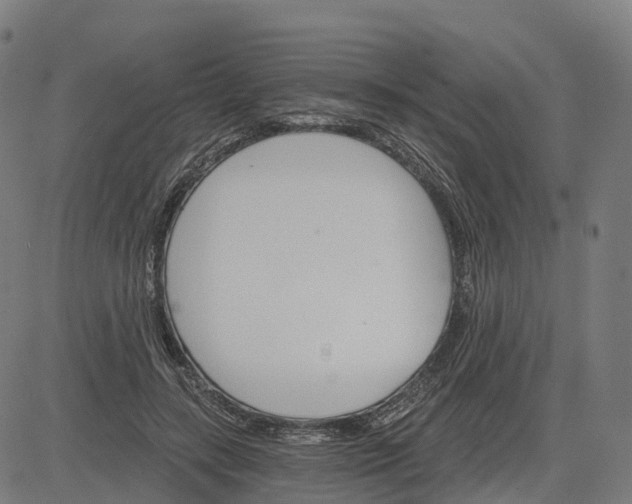 X0000084540547200703091656