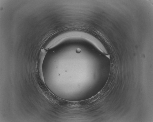 X0000084540548200703091656