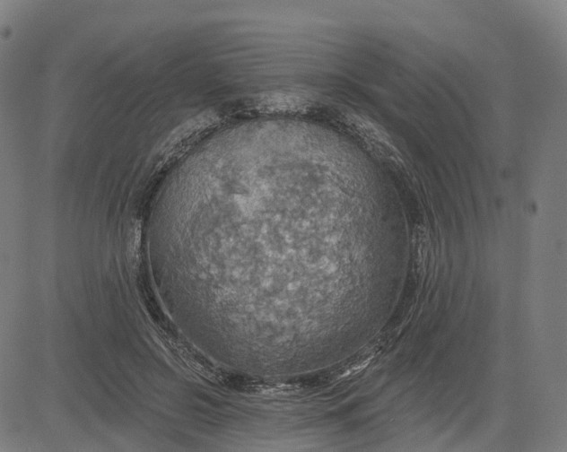 X0000084540550200703091656