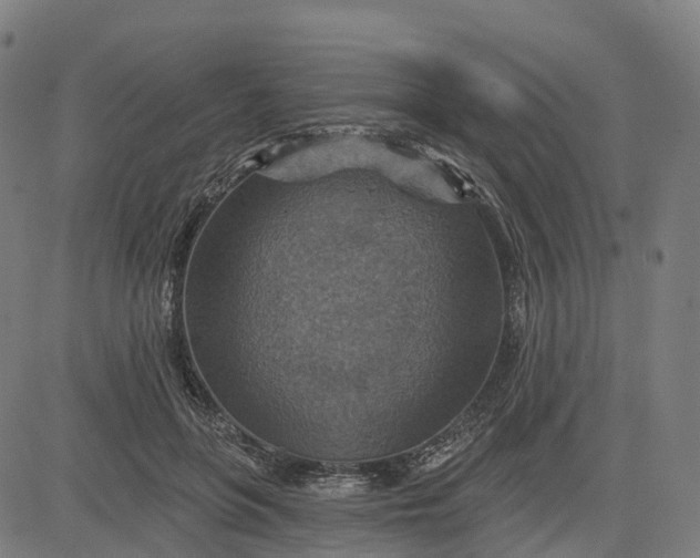 X0000084540551200703091656