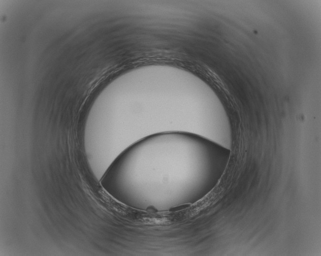 X0000084540552200703091656