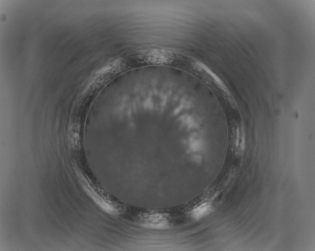 X0000084540553200703091656