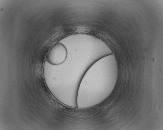 X0000084540554200703091656