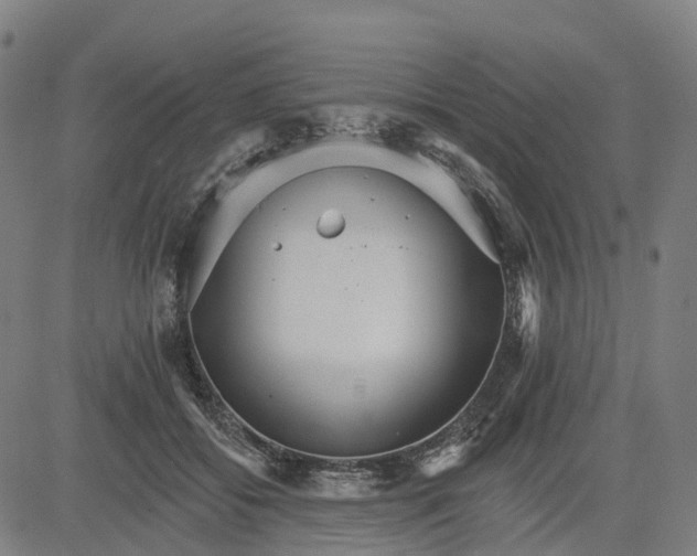 X0000084540556200703091656