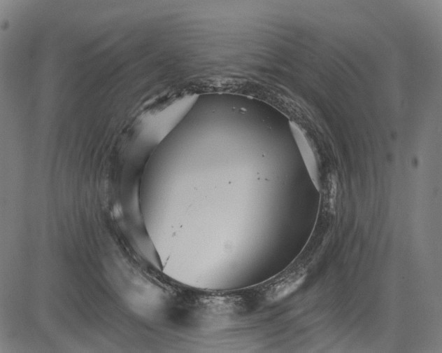 X0000084540558200703091656