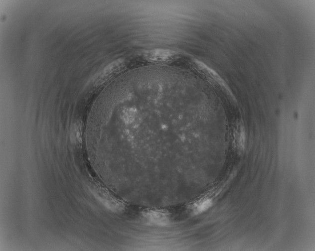 X0000084540561200703091656