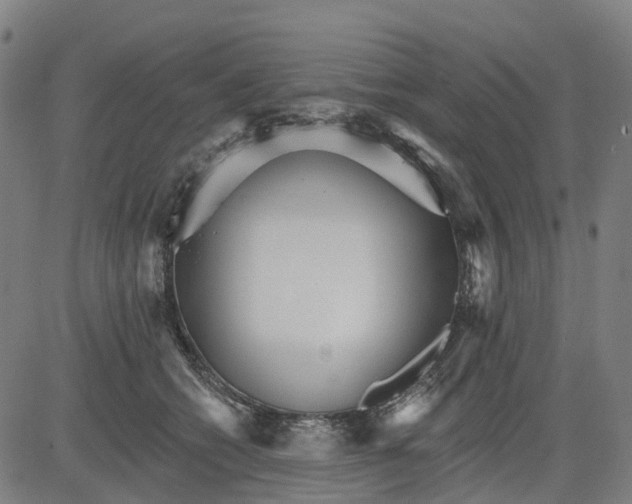 X0000084540562200703091656