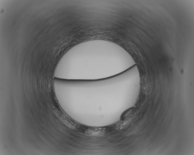 X0000084540563200703091656