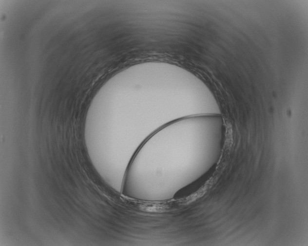 X0000084540564200703091657