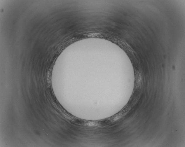 X0000084540565200703091657