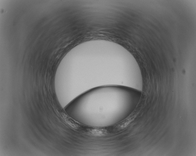 X0000084540566200703091657