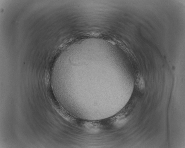 X0000084540568200703091657