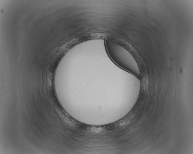 X0000084540570200703091657