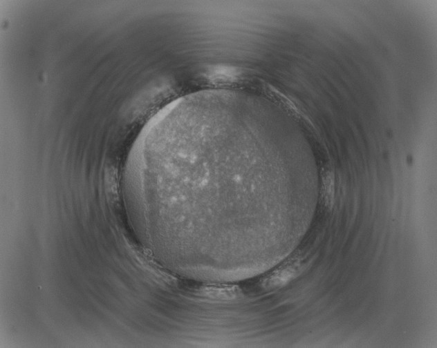 X0000084540571200703091657