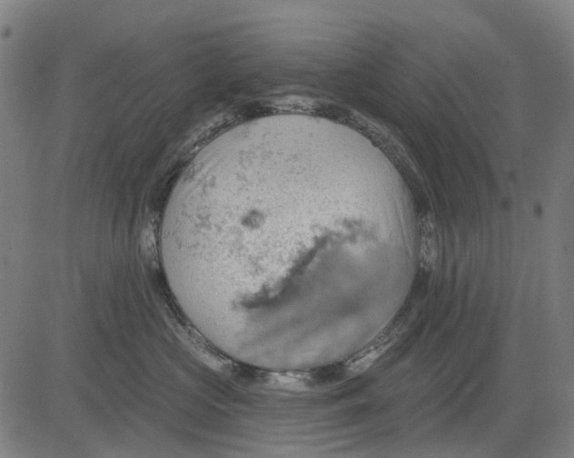 X0000084540573200703091657