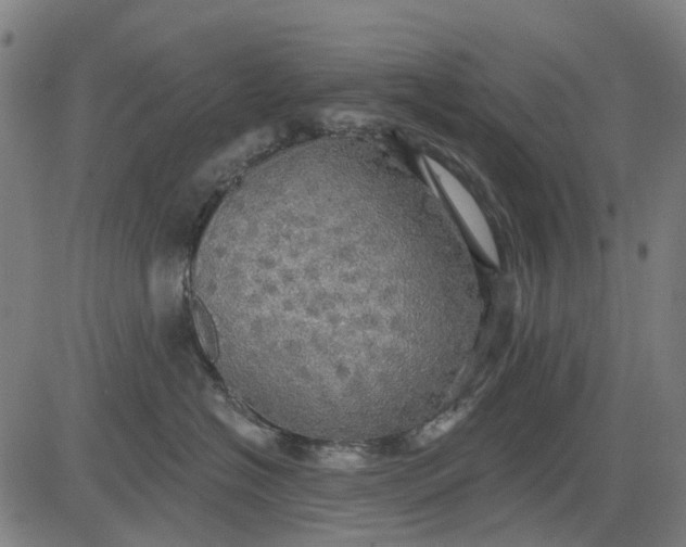 X0000084540574200703091657