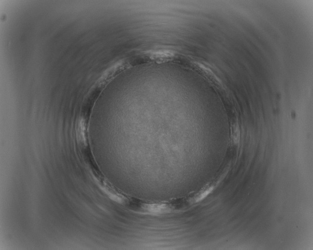 X0000084540575200703091657