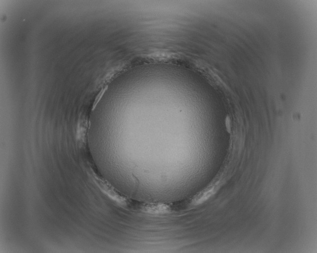 X0000084540576200703091657