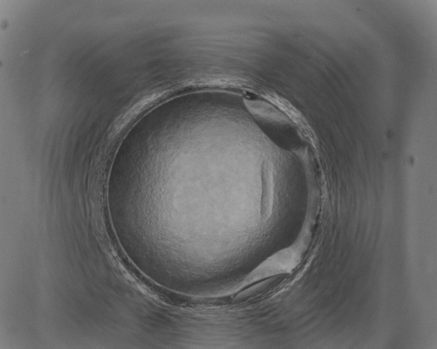 X0000084540577200703091656