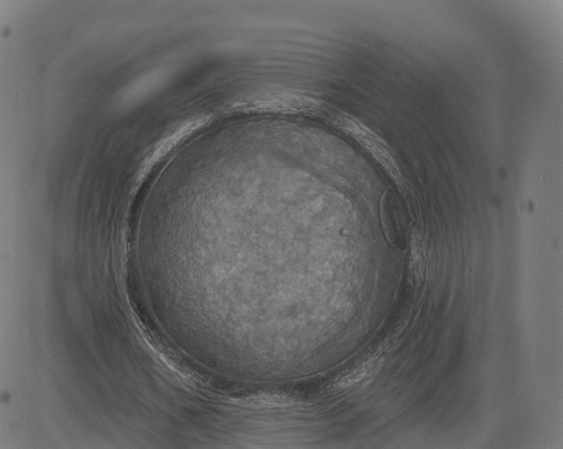 X0000084540578200703091656