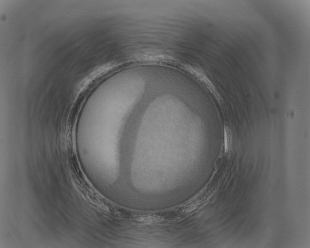 X0000084540579200703091656