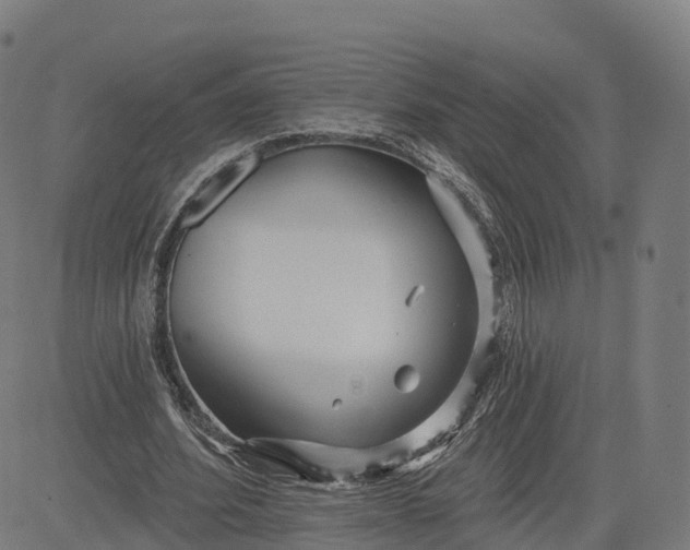 X0000084540580200703091656