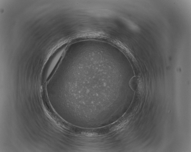 X0000084540582200703091656