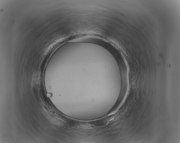 X0000084540583200703091656