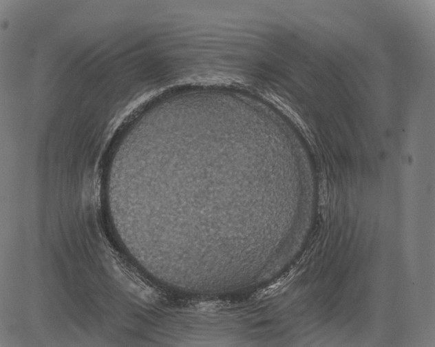 X0000084540584200703091656