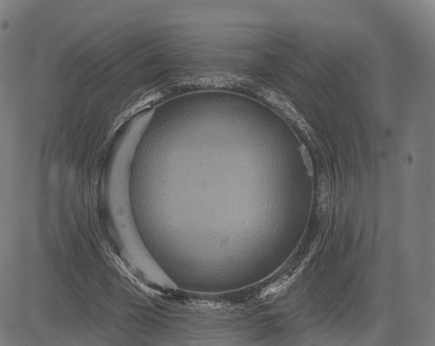 X0000084540585200703091656