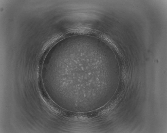 X0000084540586200703091656