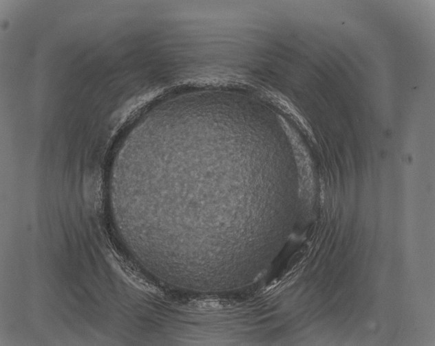 X0000084540588200703091656