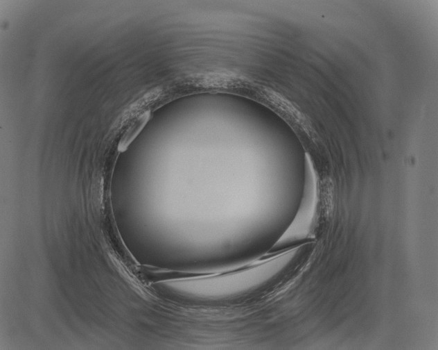 X0000084540589200703091656