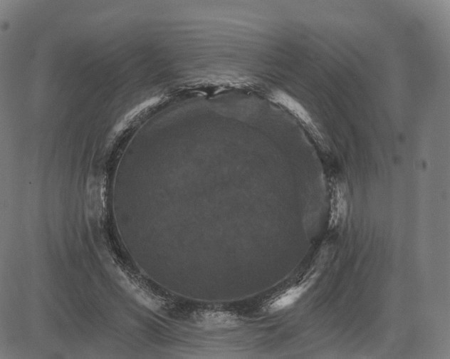 X0000084540590200703091656