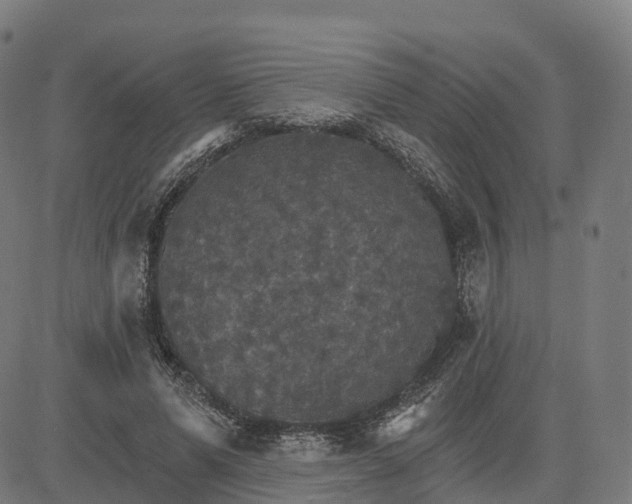 X0000084540591200703091656