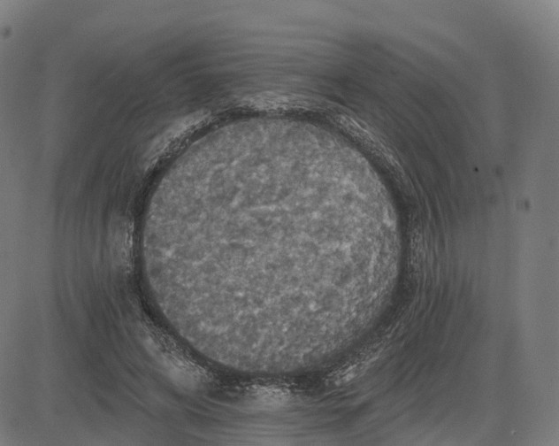 X0000084540592200703091656