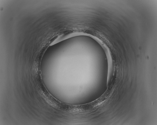 X0000084540593200703091656