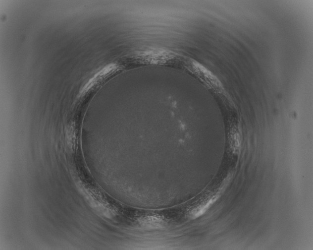 X0000084540594200703091656