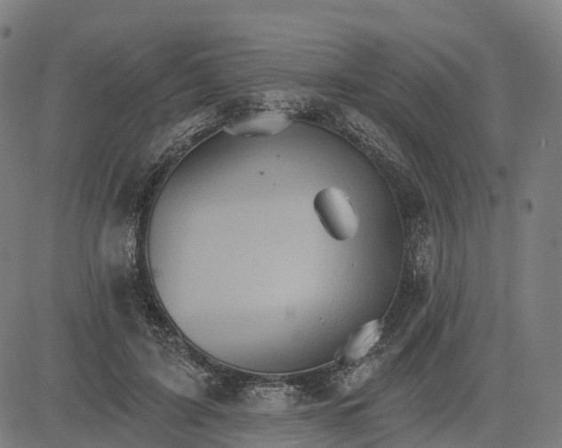 X0000084540595200703091656