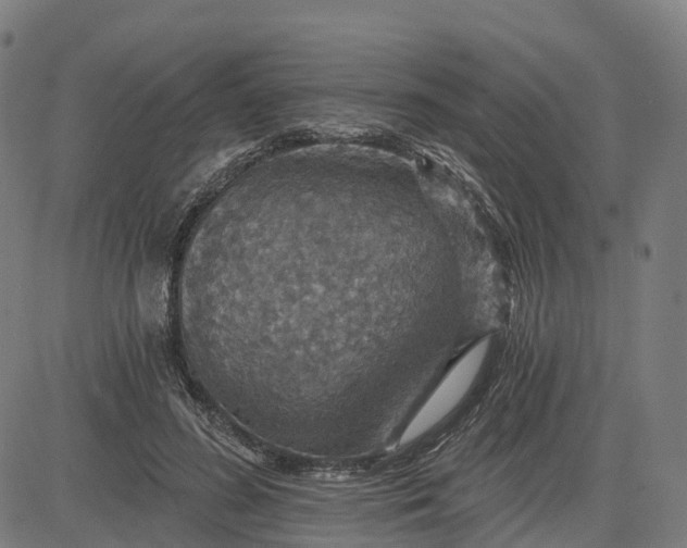 X0000084540596200703091656