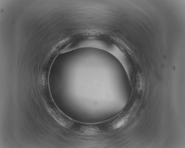 X0000084540597200703091656