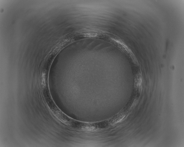 X0000084540598200703091656