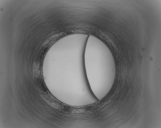 X0000084540599200703091656