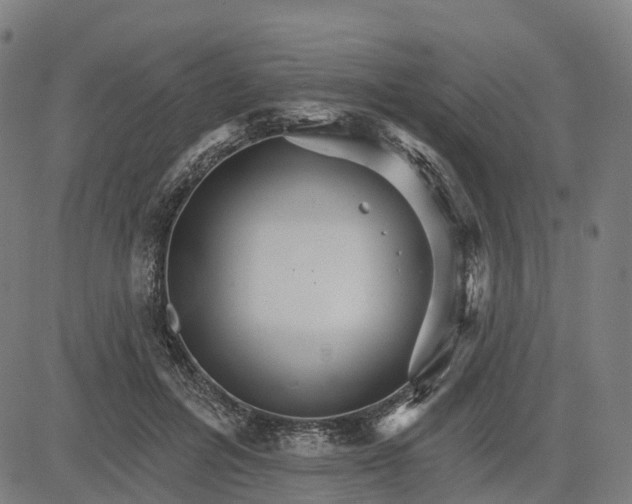 X0000084540600200703091656