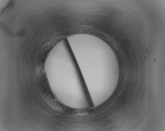 X0000084540601200703091656