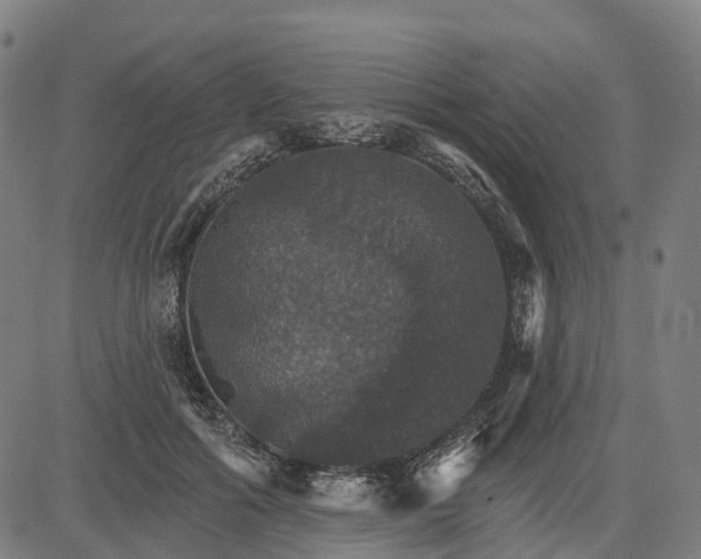 X0000084540602200703091655