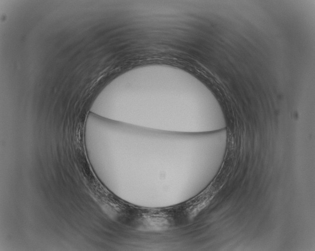 X0000084540603200703091655