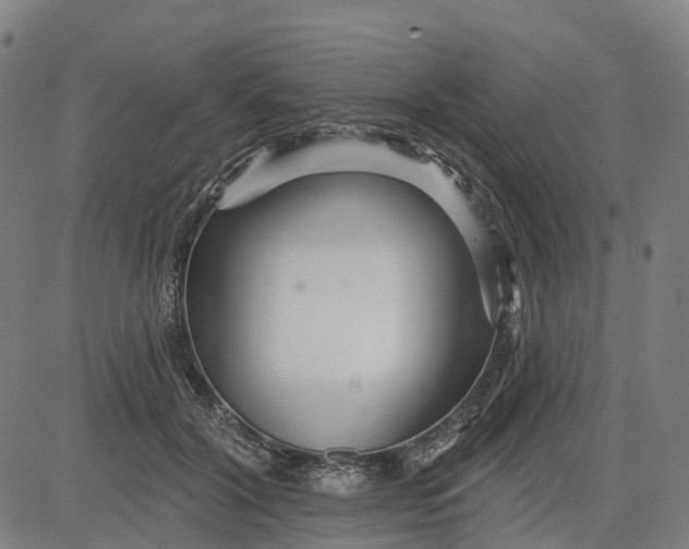 X0000084540604200703091655