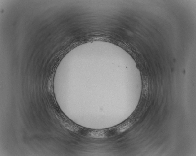 X0000084540606200703091655